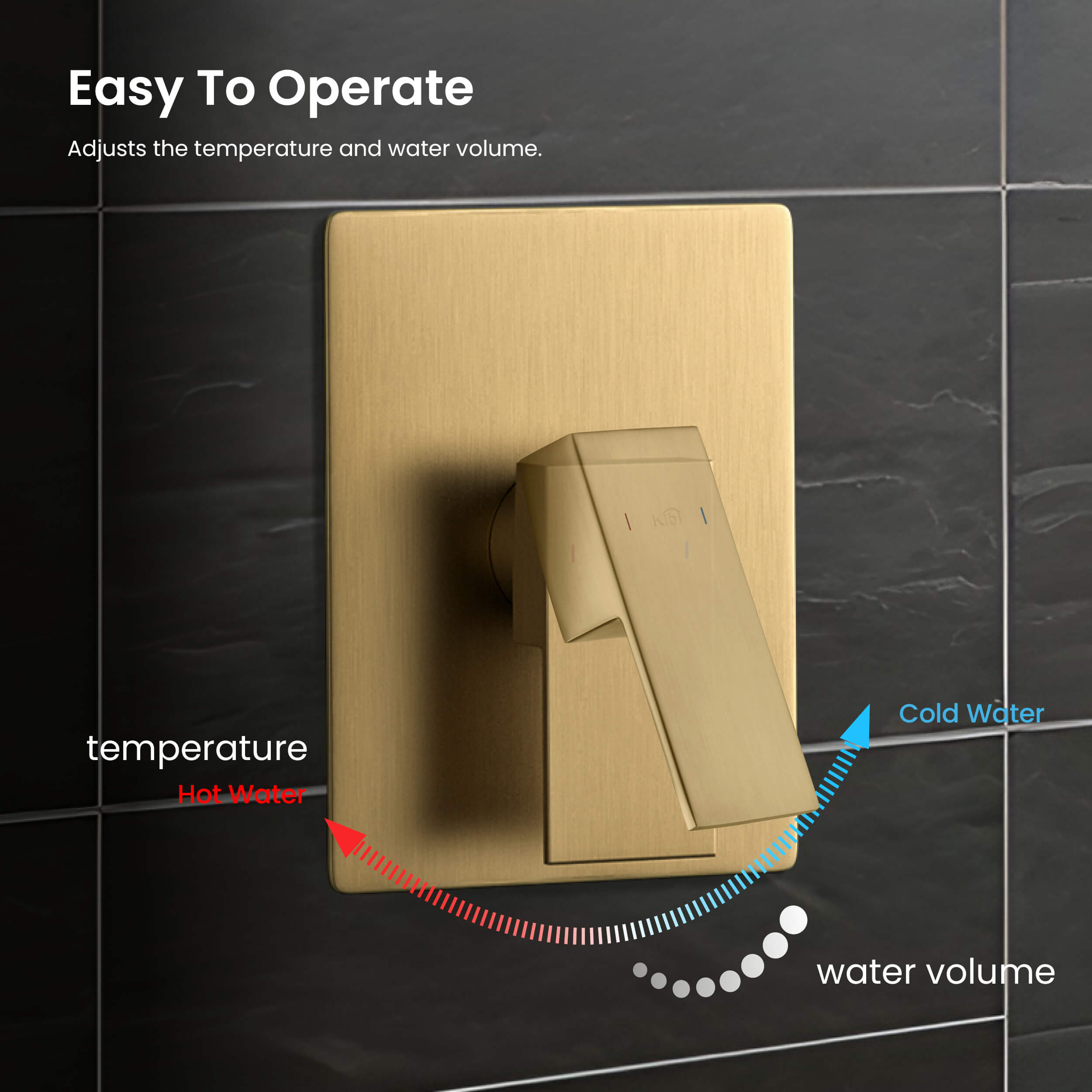 Quadra Pressure Balanced 2-Function Wall Mount Shower Column with Rough In Valve - CSC-4104